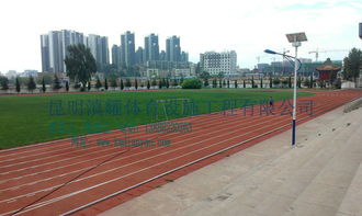 滇耀体育 图 供应塑胶跑道图 晋宁县塑胶跑道最低优惠价格